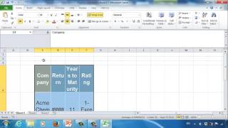 Sensitivity Analysis: A Financial Investment Example