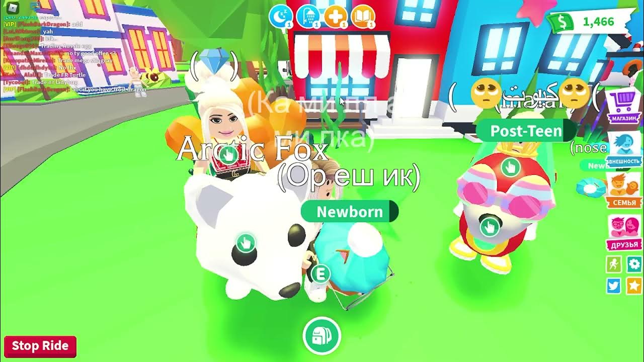 Петы из adopt me 2022. Еж адопт ми фото. Петы в адопт. Инвентарь петов в адопт. Старпетс gg.