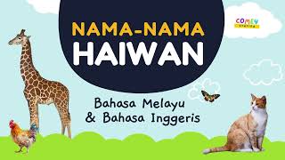 FLASH CARD Nama-Nama Haiwan Dalam Bahasa Melayu Dan Bahasa Inggeris | Siri Tadika