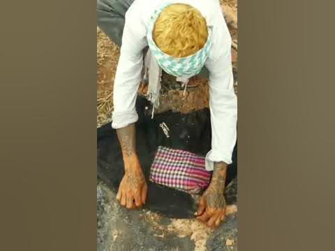 See How Rice Cooked underground #shorts - YouTube
