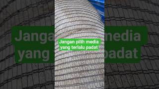 Media filtet jaring nelayan bekas | Tentang ikan koi | Penghobi koi indramayu