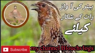 Bhoat kamal cassette /Night cassette /subscribe my channel Blouchvlogs