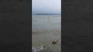 2025년 7월 1일#농어회 #fishing #낚시 #beach#강화교동도 # #automobile #carpfishing