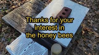 Package Bees Fun Stuff by Thornapple Woodlands 48 views 1 month ago 5 minutes, 42 seconds