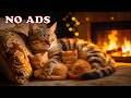 Deep Sleep Music for Cats 🐾 Soft Piano Sounds with Purring Cats for Healing Insomnia