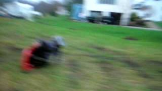 Doug and Joey's WORLD!! mud sledding pt.3