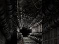 Conduit #b3d #blender3d #conceptartist