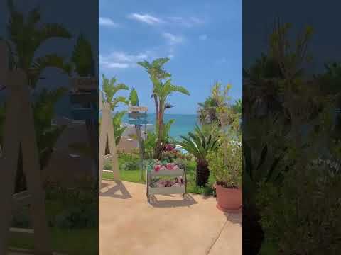 Beach Lebanon Beach Fypシ Followforfollowback Highlights