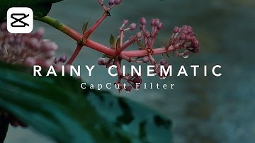 rainy cinematic capcut filter tutorial | cinematic capcut filter editing