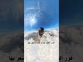 Shorts أراد الوقوف على السحاب Shorts أراد الوقوف على السحاب