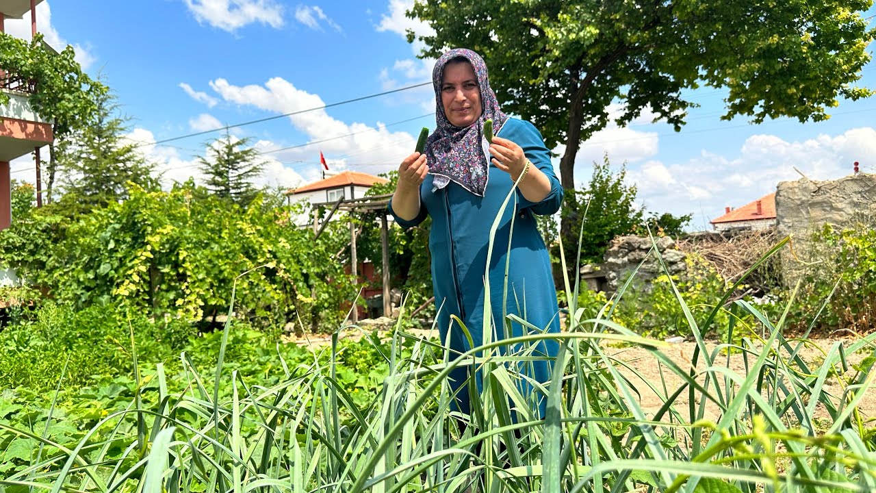GELDİK 😅KURUTULMUŞ KAYSILARI BUZLUĞA KOYDUK 🤩ANNEMİN EVİNİ TEMİZLEDİM 💯bahçe bağ işleri