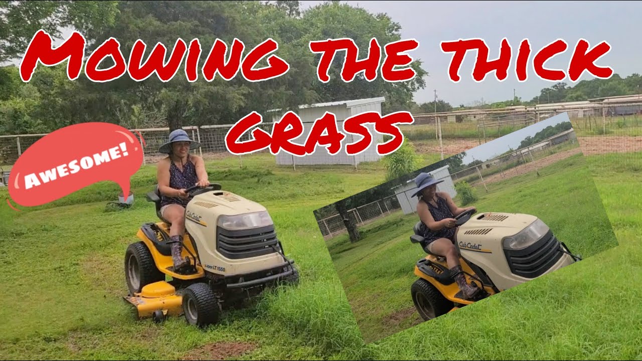 MOWING THE THICK GRASS ON THE YARDS RIDING THE LAWN MOWER IS FUN