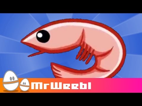 Shrimp Glockenspiel : animated music video : MrWeebl