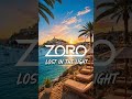 Zoro | Lost In The Light ( House Music  )        #zoro #housemusic #house #deephouse #eletronicmusic