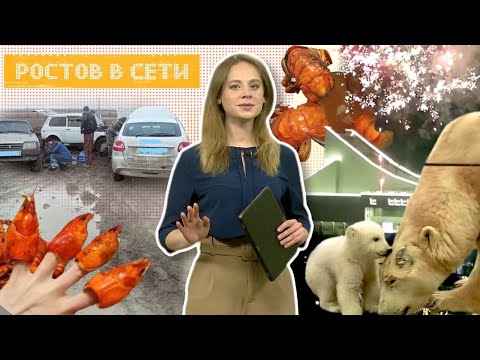 Ростов в сети: