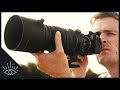 Sigma 150-600mm f/5-6.3 DG DN OS Sport Review - WHAT A LENS!