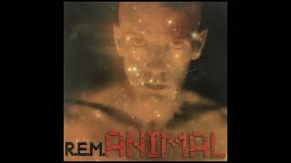 R.E.M. - Animal