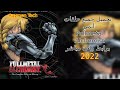 تحميل حلقات أنمي Fullmetal Alchemist Brotherhood برابط واحد 