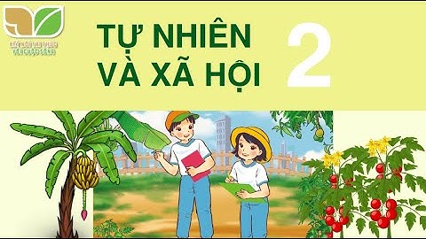 Giáo án powerpoint Bài 1: Các thế hệ trong gia đình | GA điện tử Tự nhiên xã hội 2 Kết nối tri thức