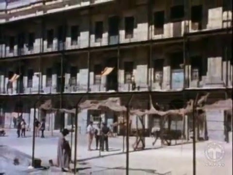 Midnight Express - I'm Healthy, I'm Alive and I'm Free