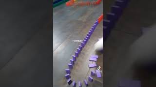 The greatest domino chain you’ve ever seen