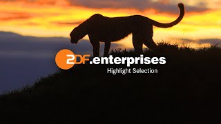 Highlight Selection - Fall/Winter 2021 MIPCOM - ZDF Enterprises GmbH