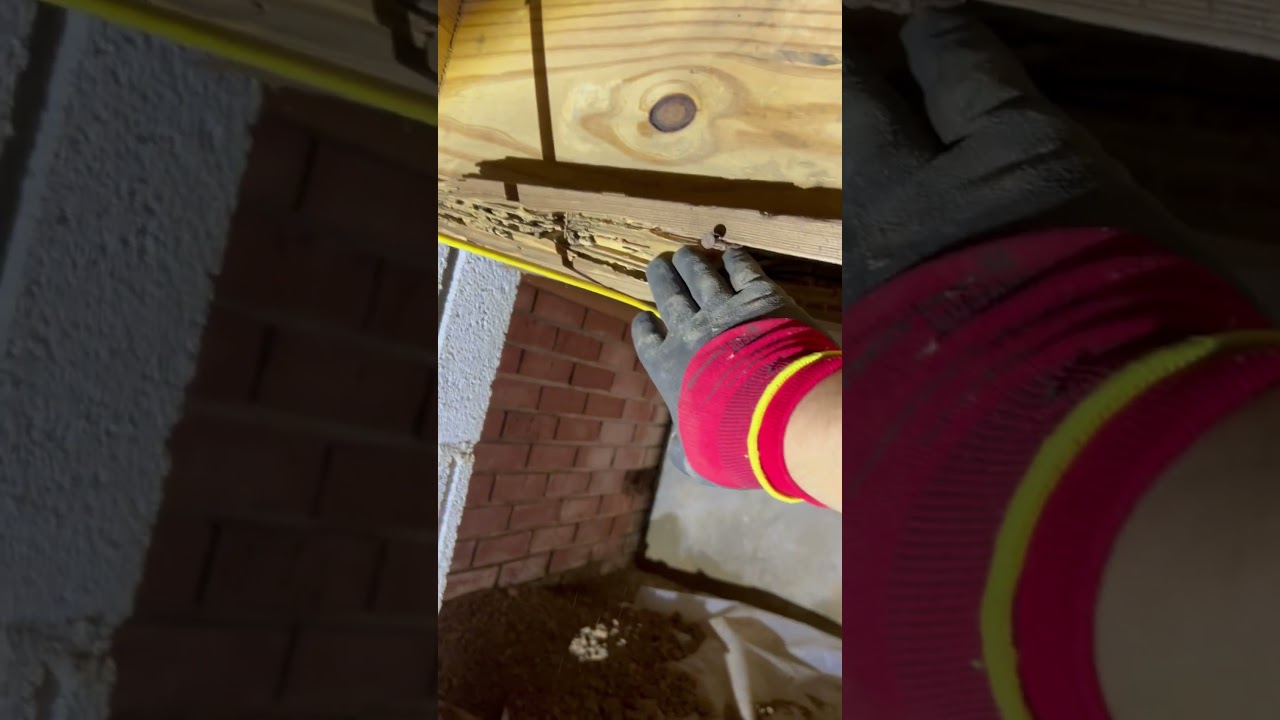 Termite Damage in a crawlspace. 