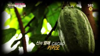 정글의법칙 130913 #46(4)