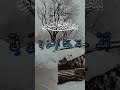 Surah-At-Tin|❤️Beautiful Quran recitation 📖 #trending #quran #quranrecitation #exploremore #fypviral