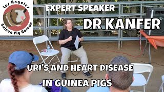 Heart Disease and Upper Respiratory Infections in Guinea pigs