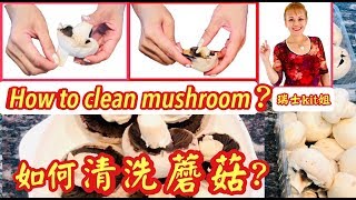 *瑞士kit姐~【如何清洗蘑菇】千萬不要用水洗，2⃣️分鐘推薦 ... 