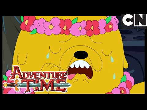 Это ты? | Время приключений | Cartoon Network