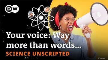 The hole in your face that