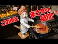 AI猫にゃんこちん、カレー屋でバイトした結果がヤバすぎた!?