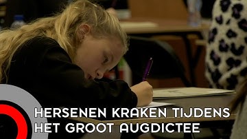 Hersenen kraken tijdens het Groot AugDictee in Eindhoven