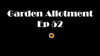 Garden Allotment Ep 52 - Planting out, Water butts and Orchid naming