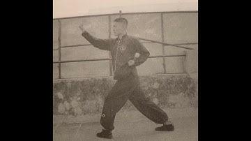 崩捶 Part 46: Rolling around Blocks [Praying Mantis Kung Fu 螳螂拳]