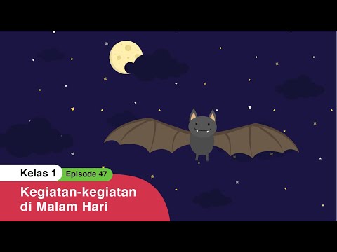 BDR | SD Kelas I | Episode 47 - Kegiatan-kegiatan di Malam Hari