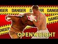 Gerard Gordeau vs. Teila Tuli - Openweight.