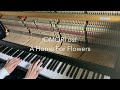 OMORI ost より A Home For Flowers[ピアノカバー]