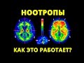 Как работают ноотропы на самом деле?