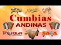 Cumbias viejitas pero bonitas para bailar - Cumbia Andina Lo Mejor