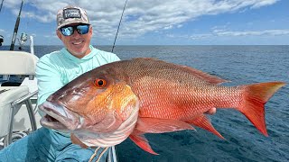 Monster Mutton Snapper Catch Clean & Cook