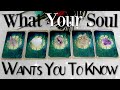What Your SOUL Is URGING You To Know... (PICK A CARD)