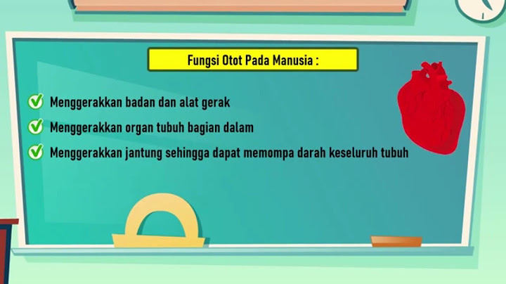 Kenapa otot disebut sebagai alt gerak aktif