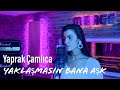 Yaprak amlca  yaklamasn bana ak official