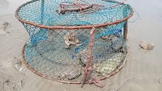 catching Mud crabs.with homemade pots/traps nets