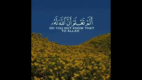 القارئ : ياسر الدوسري { أَلَمْ تَعْلَمْ أَنَّ اللّهَ عَلَىَ كُلِّ شَيْءٍ قَدِيرٌ } سورة : البقرة 💛✨