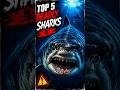 Top 5 Most Deadly Sharks In The World 🦈😱#DeadlySharks #Sharks #GreatWhite