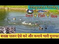 Modern Integrated Duck Farming || बत्तख़, मछली और धान खेती ||